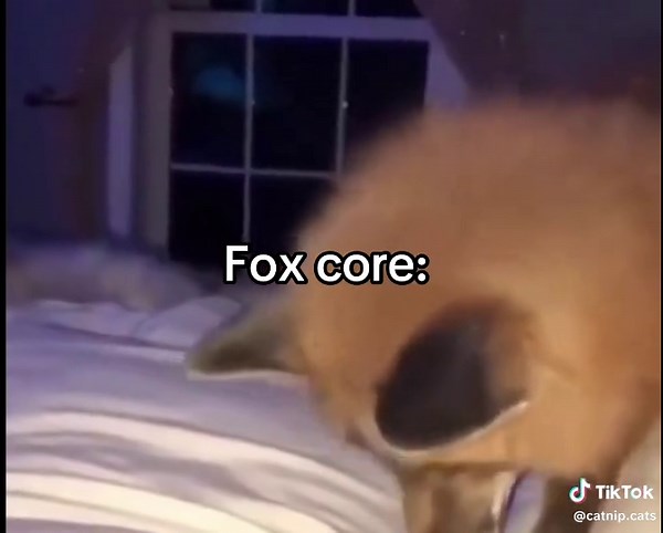 Explore the Adorable World of Foxes as Pets