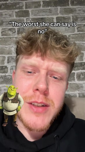 The Layers of Ogres: Exploring Shrek's Character