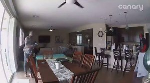 33K views · 253 reactions | Crystal clear security video shows a home...