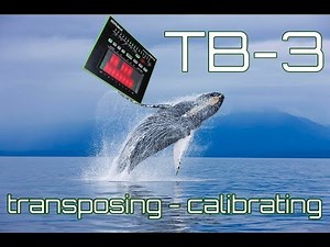 Roland TB-3 - Transposing - Calibration - Key Signatures - Tuning