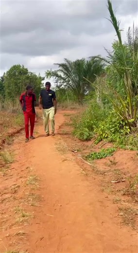 Paper Comedy (@papercomedy) - How to Create Engaging Short Films on TikTok