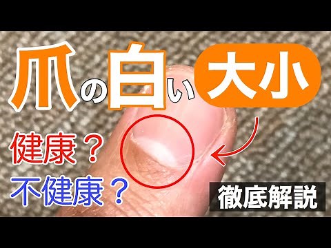 『爪の根本の白い部分』大きい？小さい？【徹底解説】
