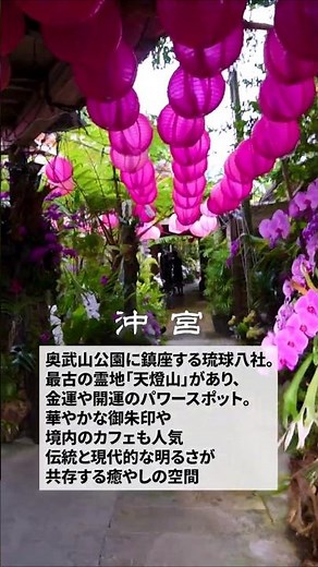 【沖縄最強パワースポット】那覇の癒やし神社「沖宮」が美しすぎる！金運・開運の聖地へ