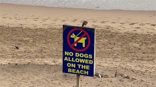 Chutney Music Vibes in Durban's Beach Hotspot