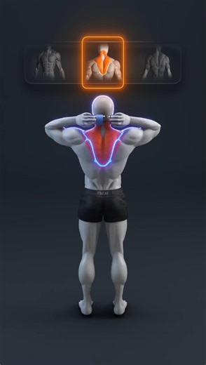 The Ultimate Beginner Gym Schedule (7 Days) 💪 | Build Muscle & Lose Fat Fast 🔥