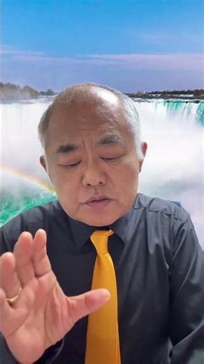 라이브 하이라이트