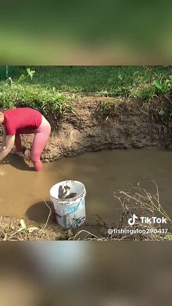 Catching Wild Fish ! Fishing Techniques #fish #fishinglife #fishingtiktoks #outdoors #survival #bushcraft #fyp #viral #foryou #catchfish