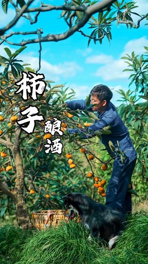 Rural food processing #persimmonwine #fruitwinemaking #traditionalcraftbrewing #ruralcuisine #villagelife #homemadewine #naturalfermentation #persimmonrecipe #fruitwine #ruralfood #villagecooking #fermentationprocess #winemaking | HQDiscover
