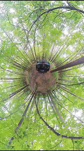 Trail ‘N’ Treat : 757 VA Off-road Trail Rides celebrating Halloween. Each trail ride has $500 - $3k in prizes hidden along the trail. Bring your 4x4, drive the trails, & join the festivities 🎃 Sat. 10/19 & Sat. 10/26. Trail rides at 11AM and 1:30PM. Grab your ticket here: https://w2wparks.com/product/trail-or-treat-4x4-ride/ | Where2Wheel