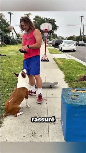 Un enfant effrayé devient le meilleur ami d'un chien