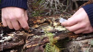 taking a soil sample for a soil test in a field. Testing carbon sequestration and plant health in Australia