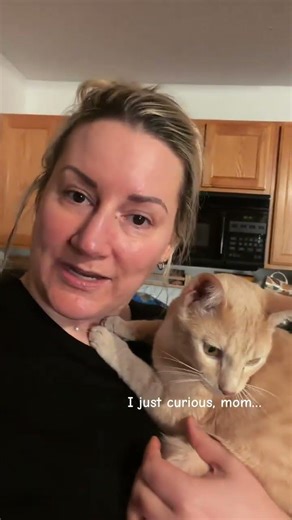 But he’s just a bebe!! #cat #kitty #kitten #funnycats @sisandbrocats