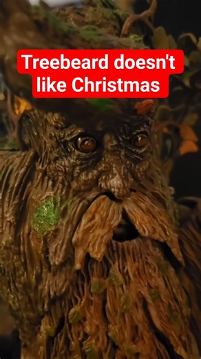 Treebeard isn't a fan of christmas... #christmas #shorts