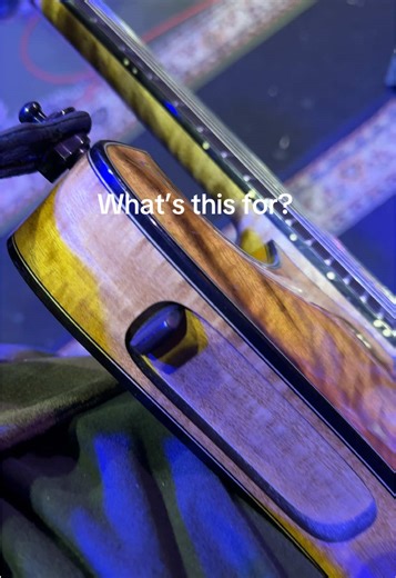 What’s this in my 🎸 for? #customguitar #musician #guitaristsoftiktok #guitartok #woodworking