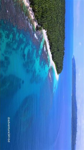 Nature in 8K ULTRA HD | Tropical Paradise & Blooming Florals (4K) 🌎 #nature #dreamylandscapes