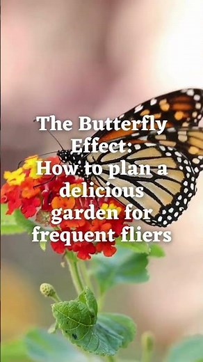 What's inside the 2025 GARDEN GUIDE?