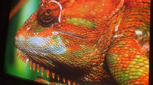 Feel and See 用眼睛看而不是讲一些虚无缥缈的东西 池上监视器近距离真实屏摄