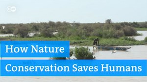 How Nature Conservation Saves Humans