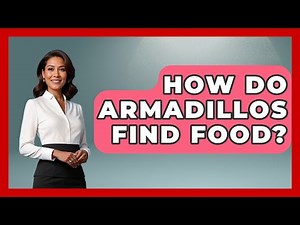 How Do Armadillos Find Food? - The Wild Life Explorer