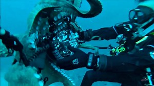 Watch this octopus try to steal a photographer's camera