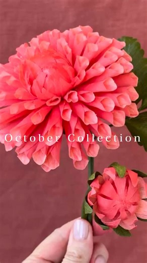 This October, we’re celebrating the beauty of change 🍂 Just like the leaves transform with the seasons, crafting gives us the power to turn simple materials into something extraordinary. Our new collection is designed to spark creativity, inspire fresh ideas, and help you embrace the magic of transformation ✨ From versatile projects that work for every season to techniques that will elevate your skills—this month is all about growth, creativity, and the joy of making. Ready to create something 