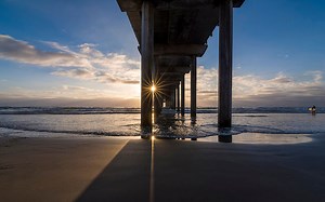 Brace Yourself - 3-D Technology Helps Sea Turtle Thrive