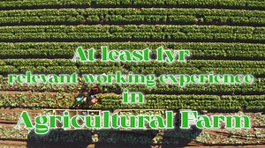 198K views · 1K reactions | BOUND FOR HUNGARY!!! Open for Walk in...