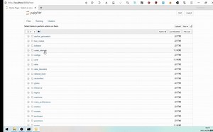 运行jupyter notebook
