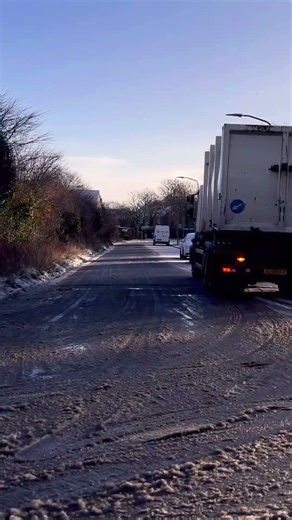 Scania p280 bin lorry