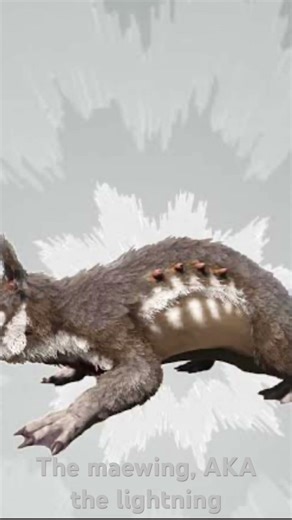 What do u think of the maewing?