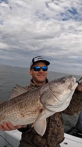 Here’s a beautiful bull redfish that boss man was able to land last fall! #fishing #fishingcharter #bullredfish | Barrier Island Eco Tours | Facebook