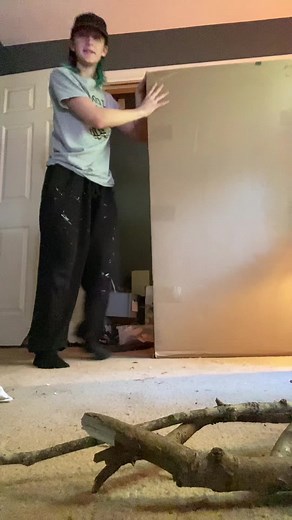 DIY Reptile Enclosure Setup Guide