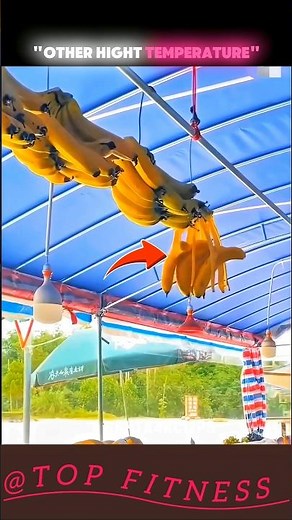 Shoulder Stand Lift 🔥 KEGEL|🏠