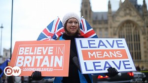 British Leavers fear for Brexit