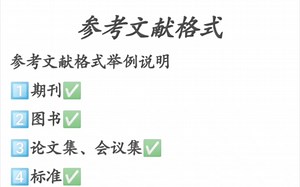 参考文献标准格式❗️