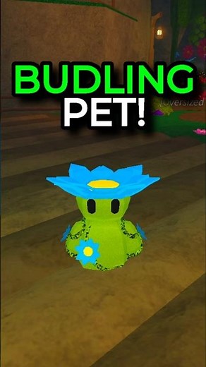 How to Get Budling Companion! 🌱 | Fisch Update Guide