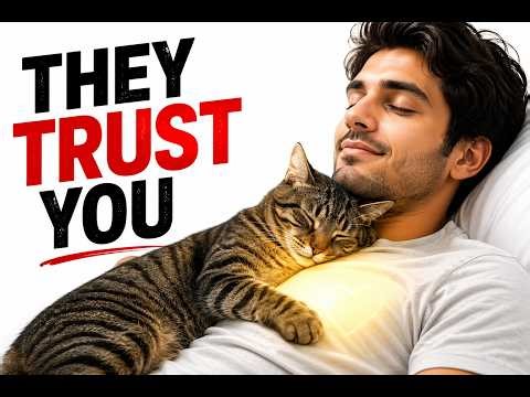 It’s NOT Random - Why Your Cat Wakes You Up at 3AM