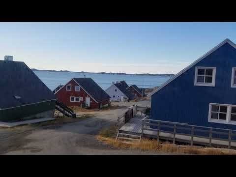 🇮🇹 Celebrating National Carbonara Day - Writing C# Code 🍝 (Portrait)