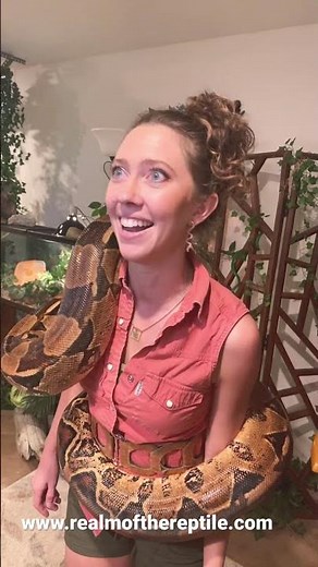 HUGE FAMOUS SNAKE HUGS MARISSA