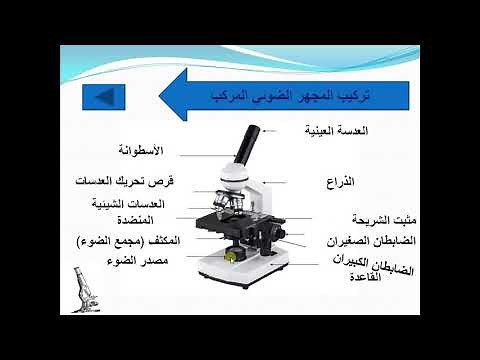 المجهر الضوئي المركب وأجزاؤه