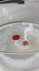 La réaction du sang dans du peroxyde d’hydrogène, c’est trop stylé non ? 😍🧪 | Dr Nozman