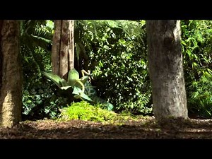 Orsum Island Full episode 1 ( The Stranger ) 1080p