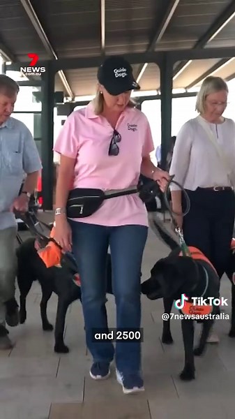 Crackdown on Dodgy Taxi Drivers Exploiting Passengers at Events