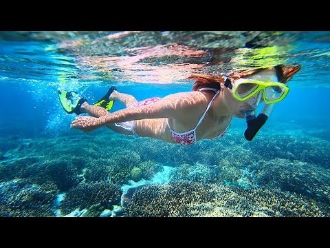 Best of Barbados Tour