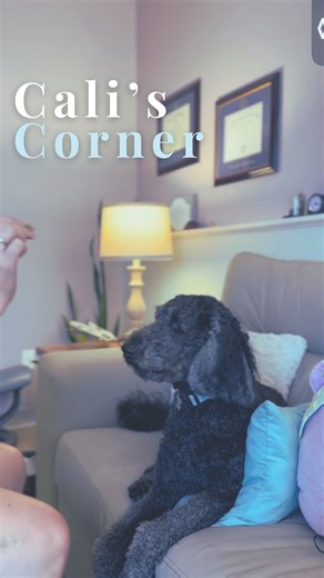 🐾 Cali’s Corner: EMDR Wiggle Time! 🧠✨ Hi furriends! It’s me, Cali, your local therapy pup with the fluffiest heart and the biggest tail wags. 🐶💛 This week, I got to try a special technique called EMDR, that stands for Eye Movement Desensitization and Reprocessing (whew, what a mouthful!). Basically, I followed a finger going side-to-side 👀➡️⬅️ while thinking about something ruff. And guess what? My tail stopped drooping and my brain felt a whole lot lighter. For hoomans, EMDR is a powerful 