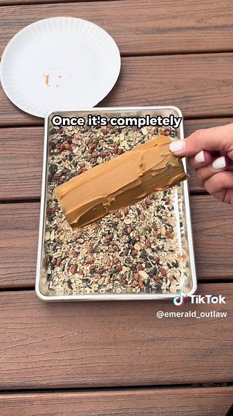 ☀️ Day 4 of 60 in our new 60 Days of Summer series! We loved upcycled crafts and activities.. and homemade bird feeders are one of our favorites! 😍 ☀️➡️If you’re looking for simple ways to keep your kids busy this summer, follow me so you don’t miss any of our summertime ideas! Homemade Bird Feeders ✂️ Supplies Toilet Paper Roll Popsicle Stick Hole Punch Peanut Butter/Nut Butter Bird Seed Twine 📝 Directions 1. Punch two holes directly across from one another at the end of an empty toilet paper