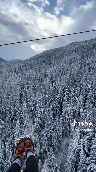 Experience the Thrill of Ziplining in Whistler BC