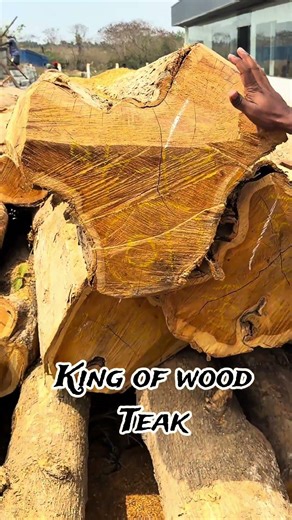 Timbers Choose பண்ணனும்னா இவ்ளோ இவ்ளோ தெரியனுமா? #furniturefactory #furniture #teakwood #timberwork