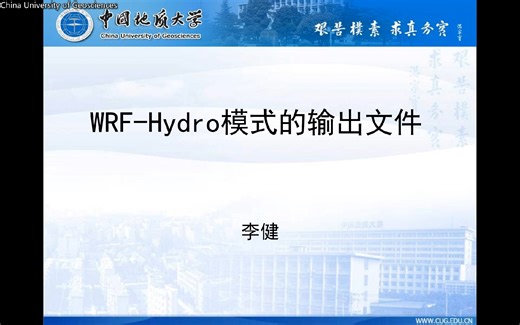 6 WRF-Hydro模型输出文件