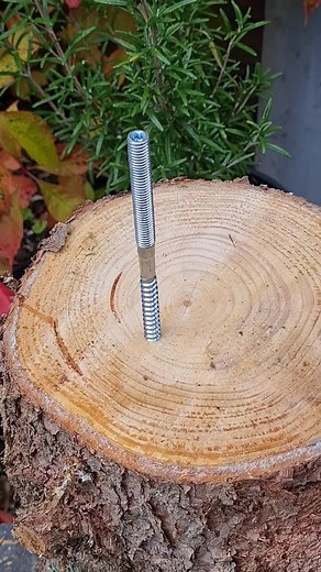 Close-Up of Tree Stump with Screw and Drill Action